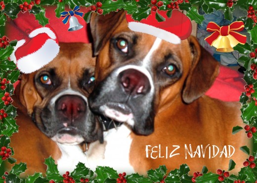 PEPA Y LOALA OS DESEAN FELICES FIESTAS